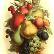 Схема вышивки «Фруктовые пано»
