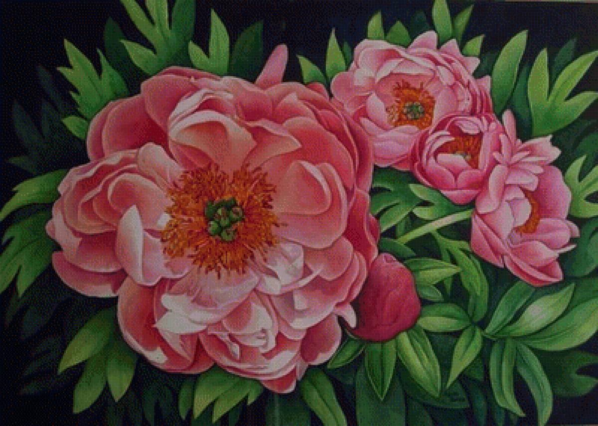 цветы - предпросмотр