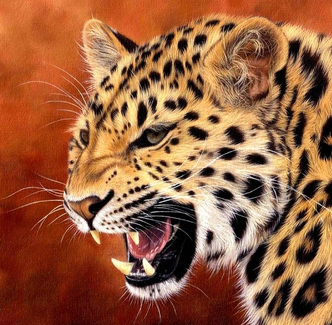 №1699523 - оригинал