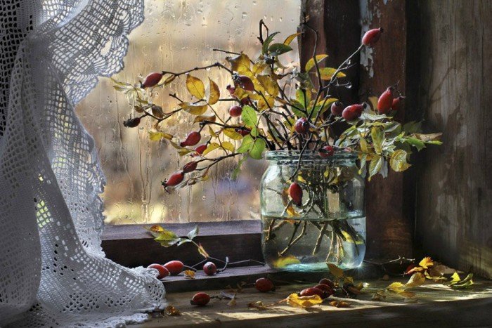 фото Светланы Павловской - натюрморт, осень, шиповник - оригинал