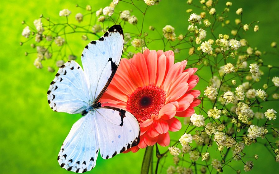 №1699800 - оригинал