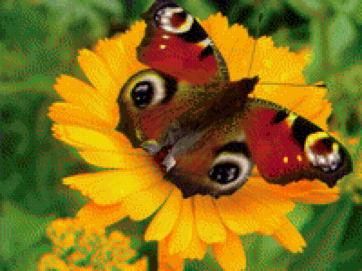 №1699812 - предпросмотр