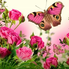 Схема вышивки «№1699819»