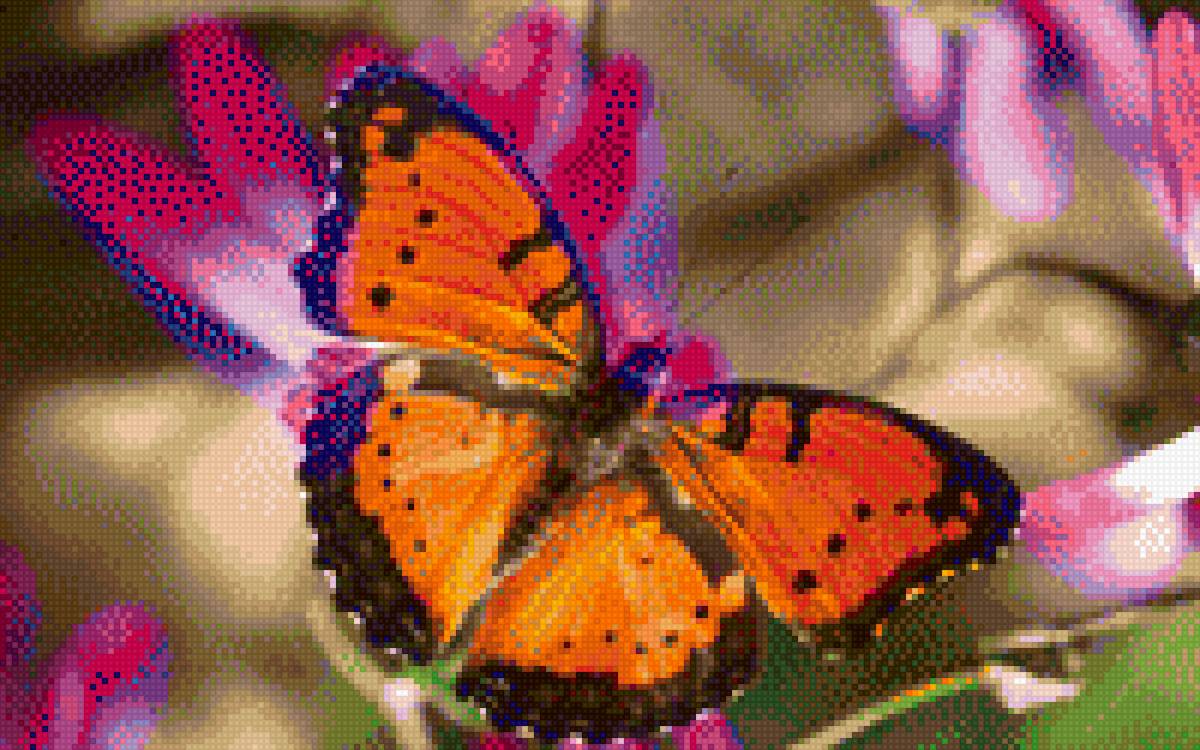 №1699825 - предпросмотр