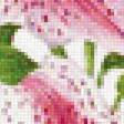 Предпросмотр схемы вышивки «Лилии» (№1699952)