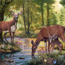 Схема вышивки «у ручья»