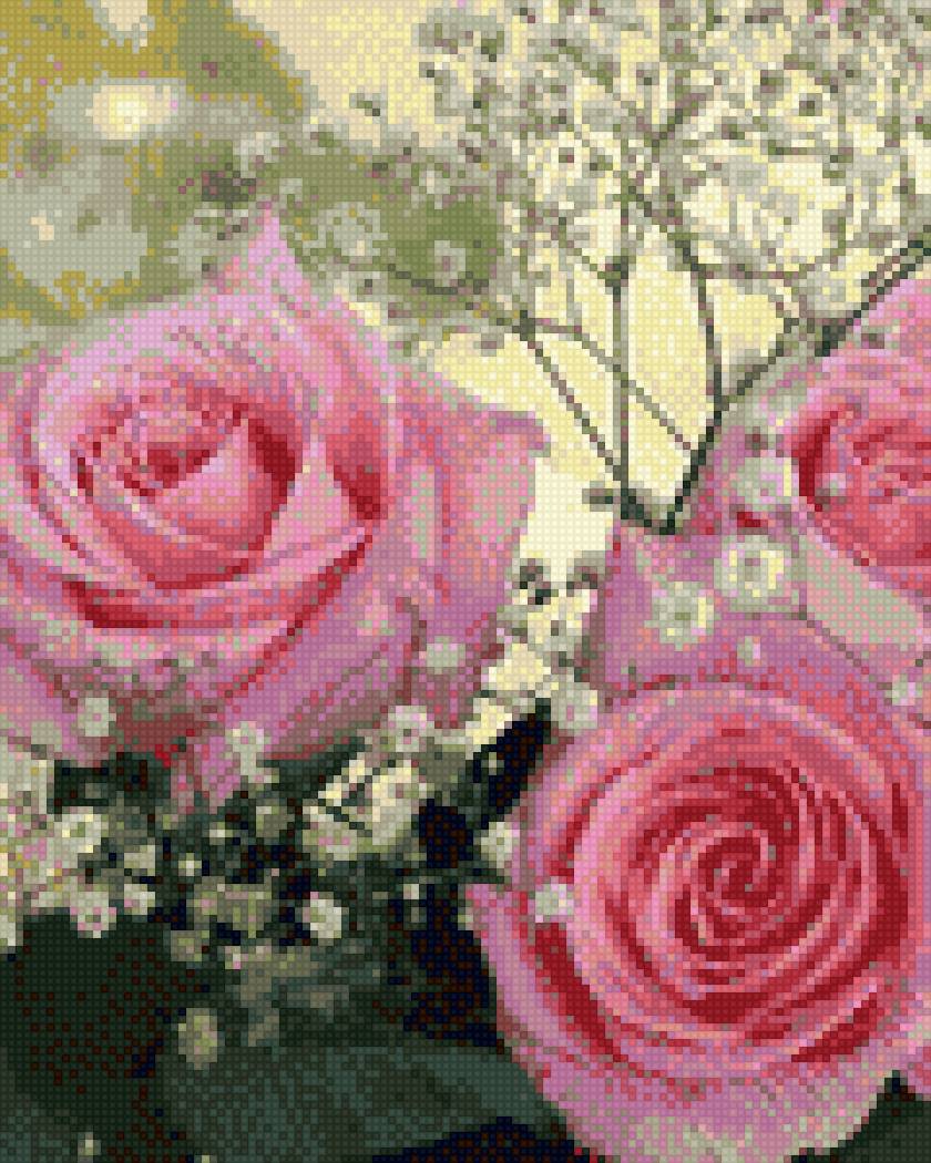 розы - предпросмотр