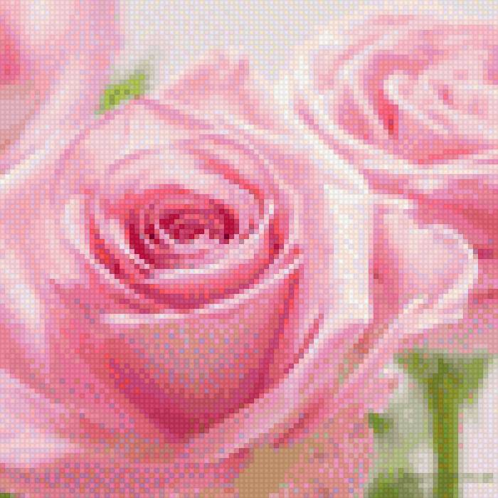 розы - розы, букет, цветы - предпросмотр