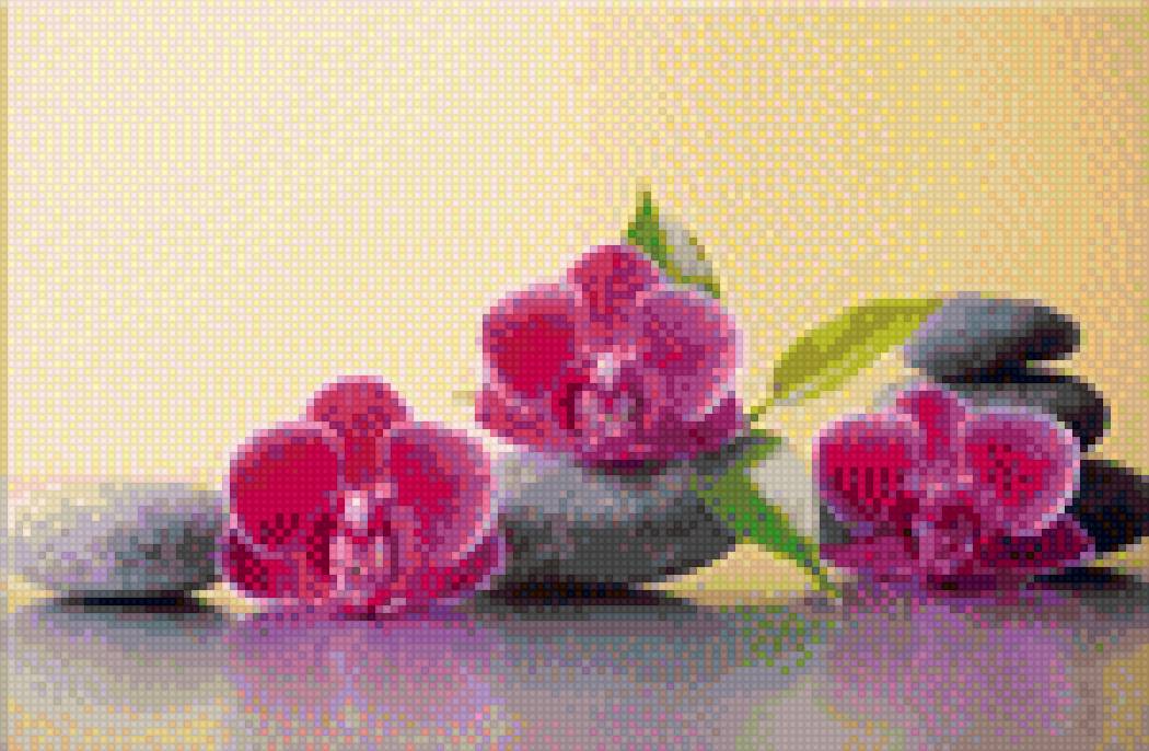 орхидеи - орхидеи - предпросмотр