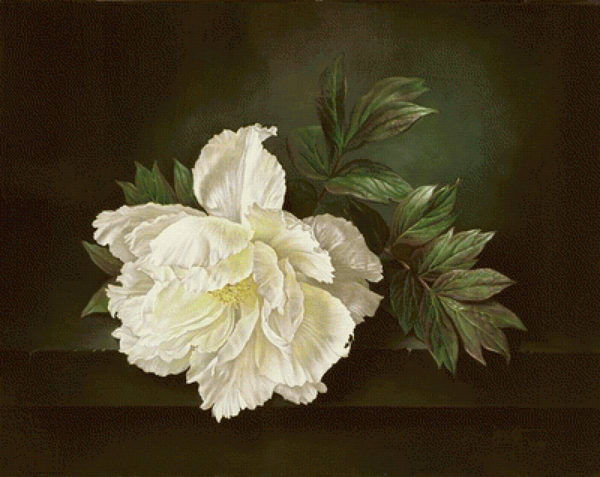 №1700280 - предпросмотр