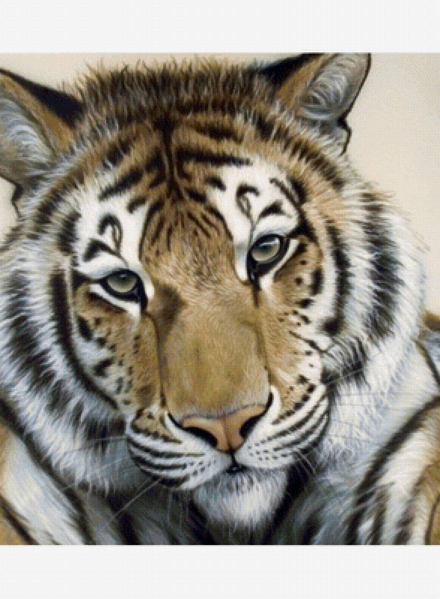 Тигр - животные, звери - предпросмотр