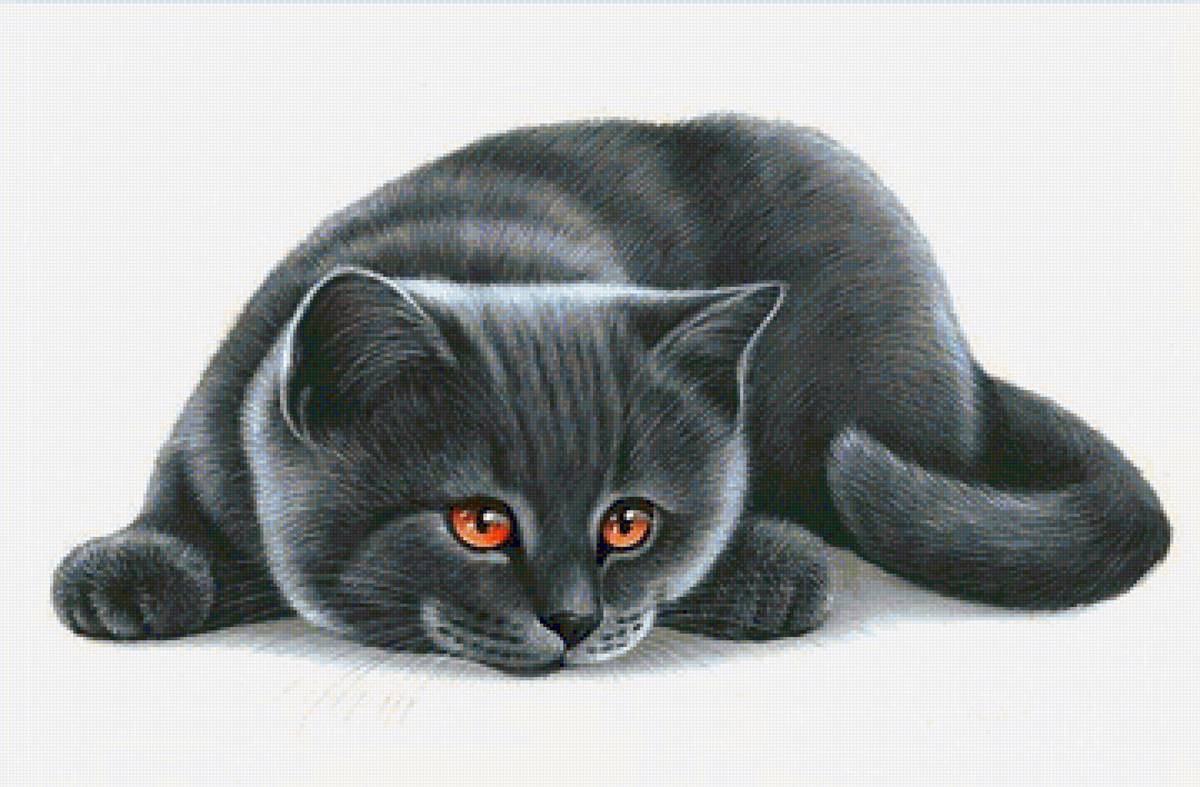 №1700427 - предпросмотр