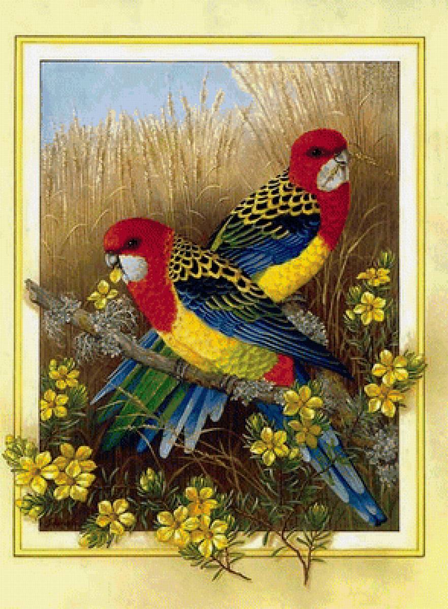 №1700571 - предпросмотр