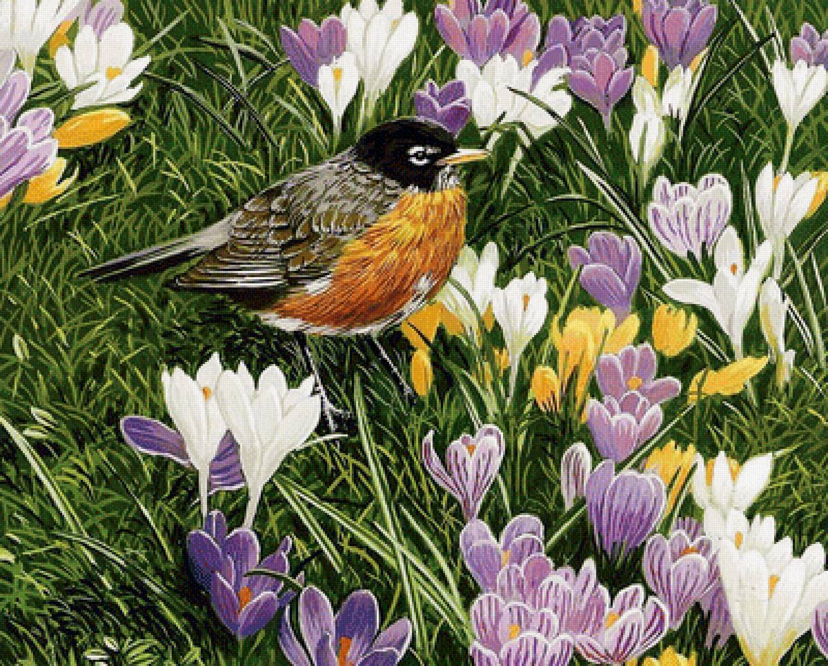 №1700622 - предпросмотр