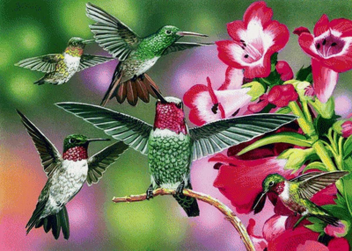 №1700630 - предпросмотр