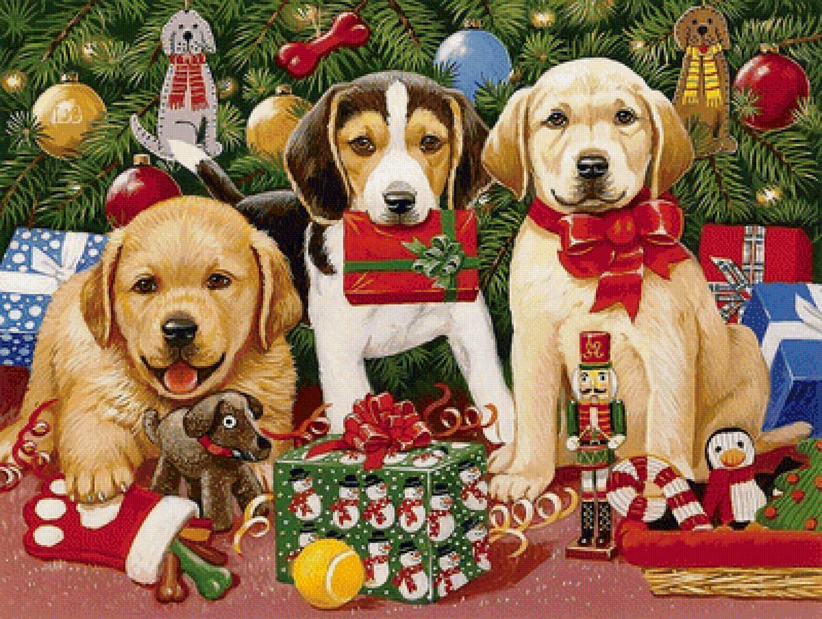 №1700641 - предпросмотр