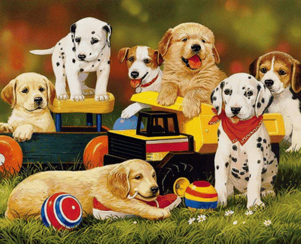 №1700648 - предпросмотр