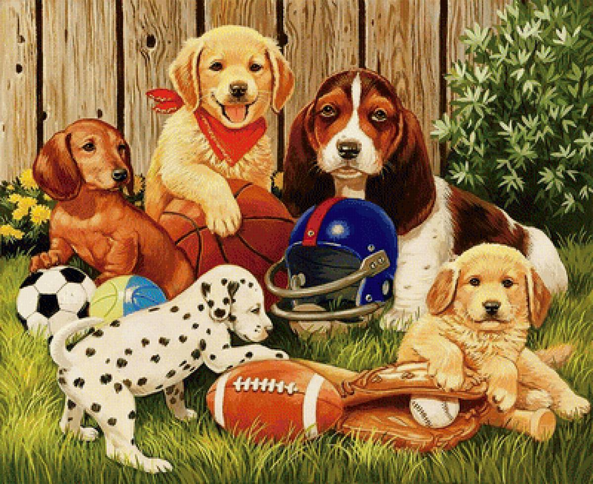 №1700651 - предпросмотр