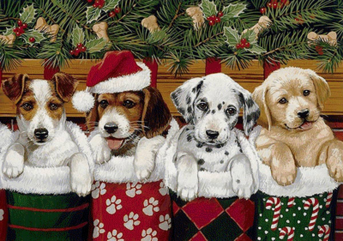 №1700652 - предпросмотр