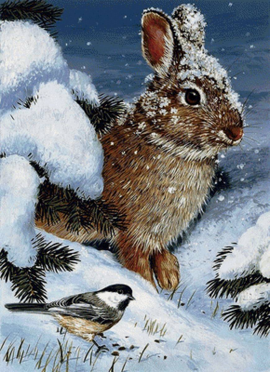 №1700658 - предпросмотр