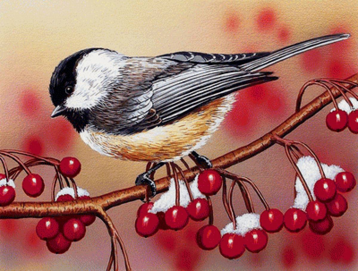 №1700661 - предпросмотр