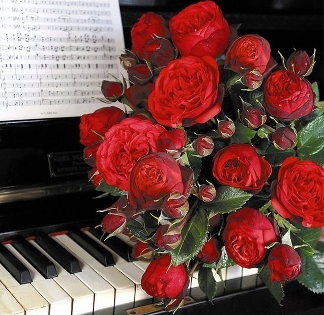 288 - оригинал