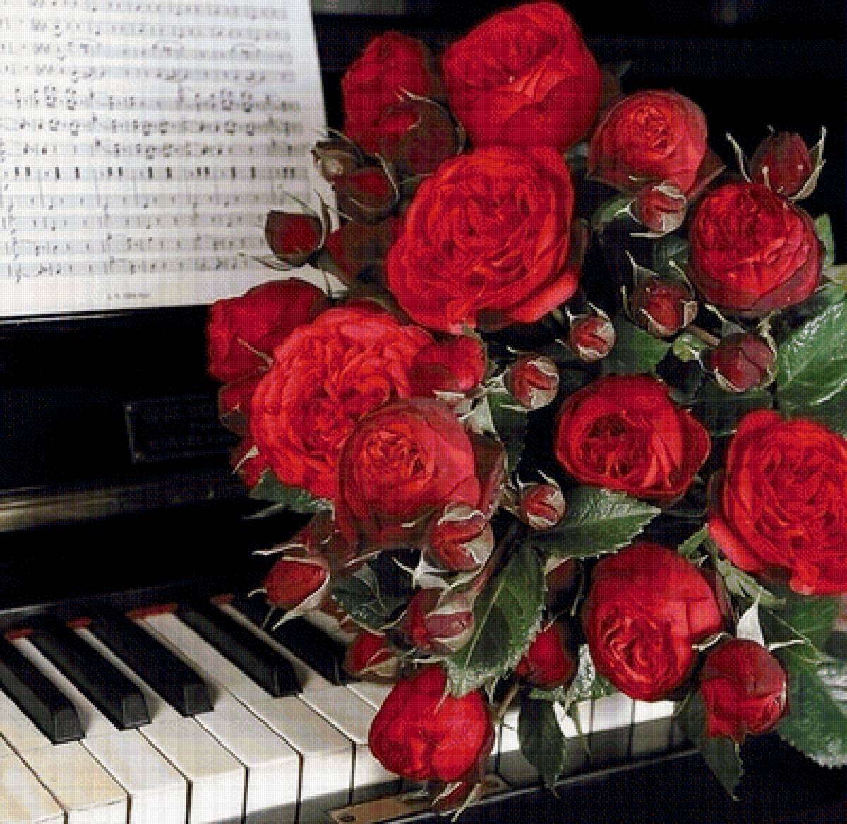 288 - предпросмотр