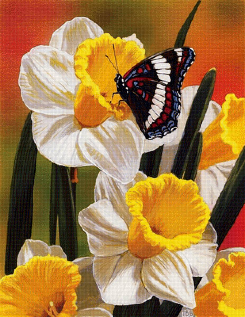 №1700668 - предпросмотр