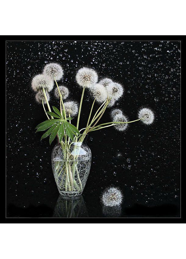 Одуванчики - цветы в вазе - оригинал