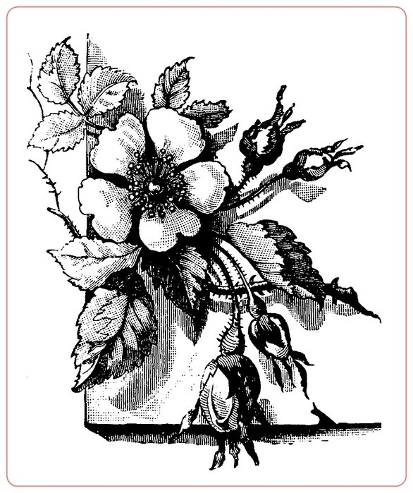 №1701371 - оригинал