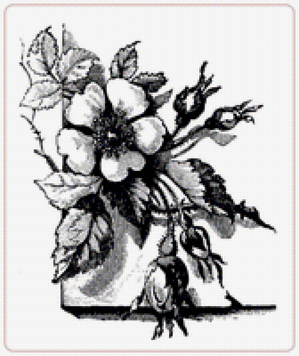 №1701371 - предпросмотр