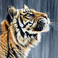 Мир животных