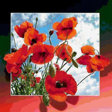 Схема вышивки «маки в раме»