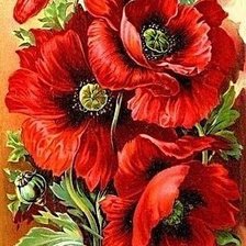 Схема вышивки «маки на стене»