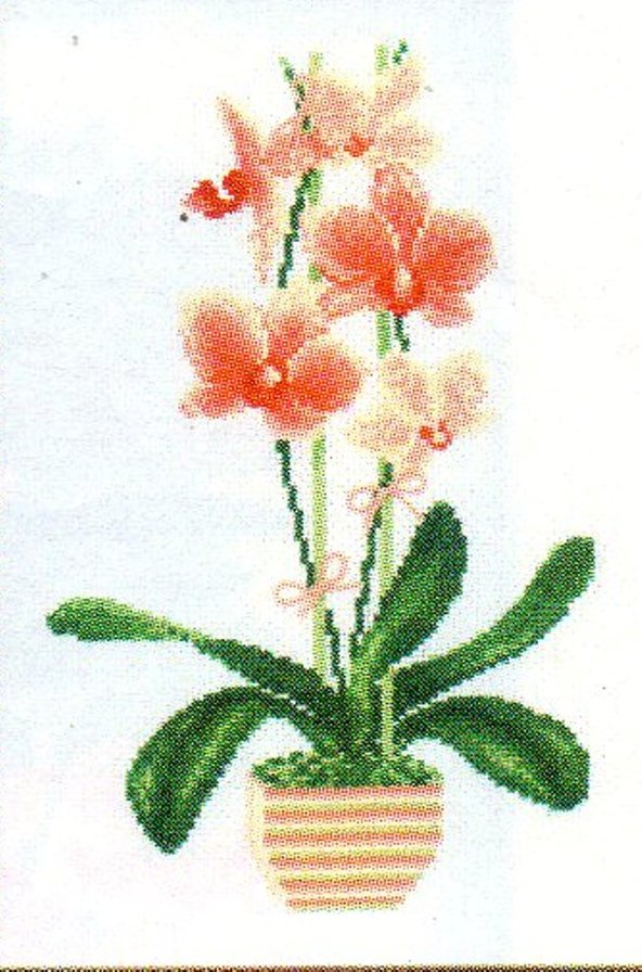 jh[bltz 170+112 - оригинал