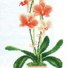 Схема вышивки «jh[bltz 170+112»