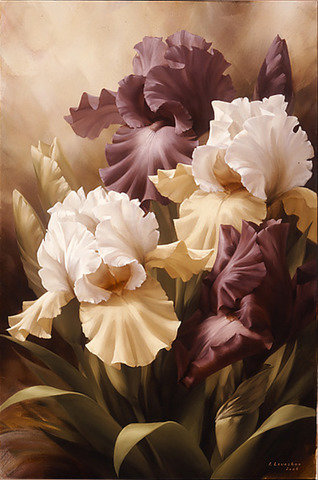 Ирисы - оригинал
