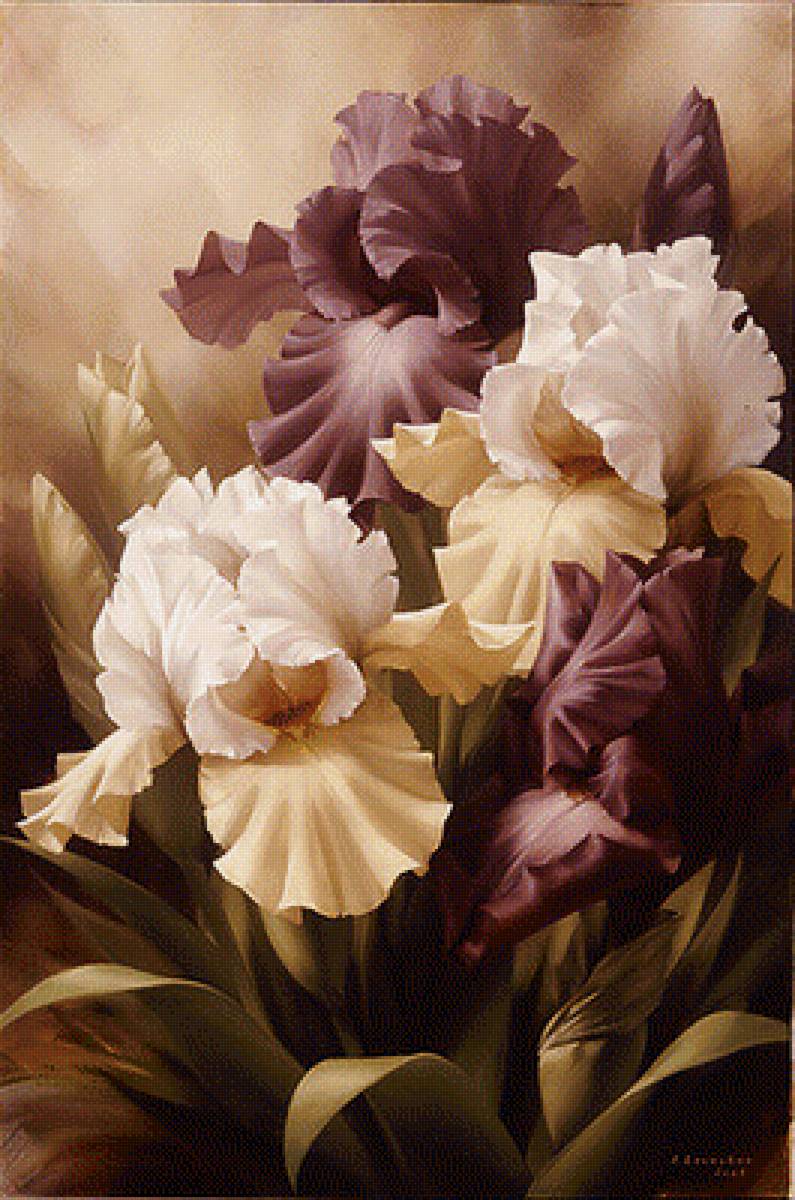 Ирисы - предпросмотр