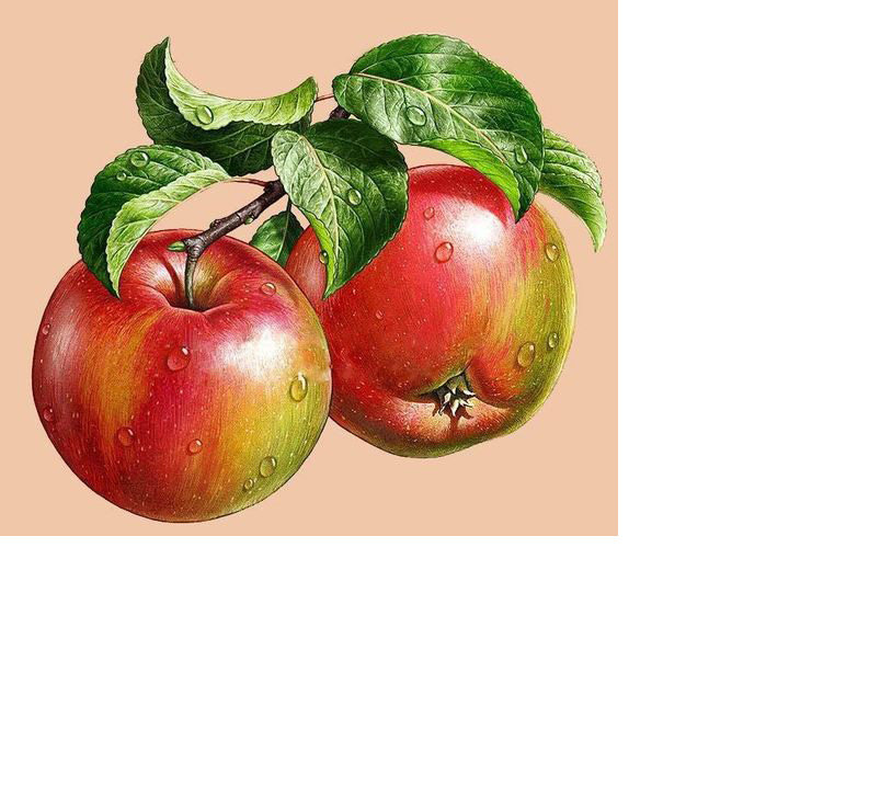 Серия "Фруктово-ягодная". Яблоки - яблоки, фрукты - оригинал