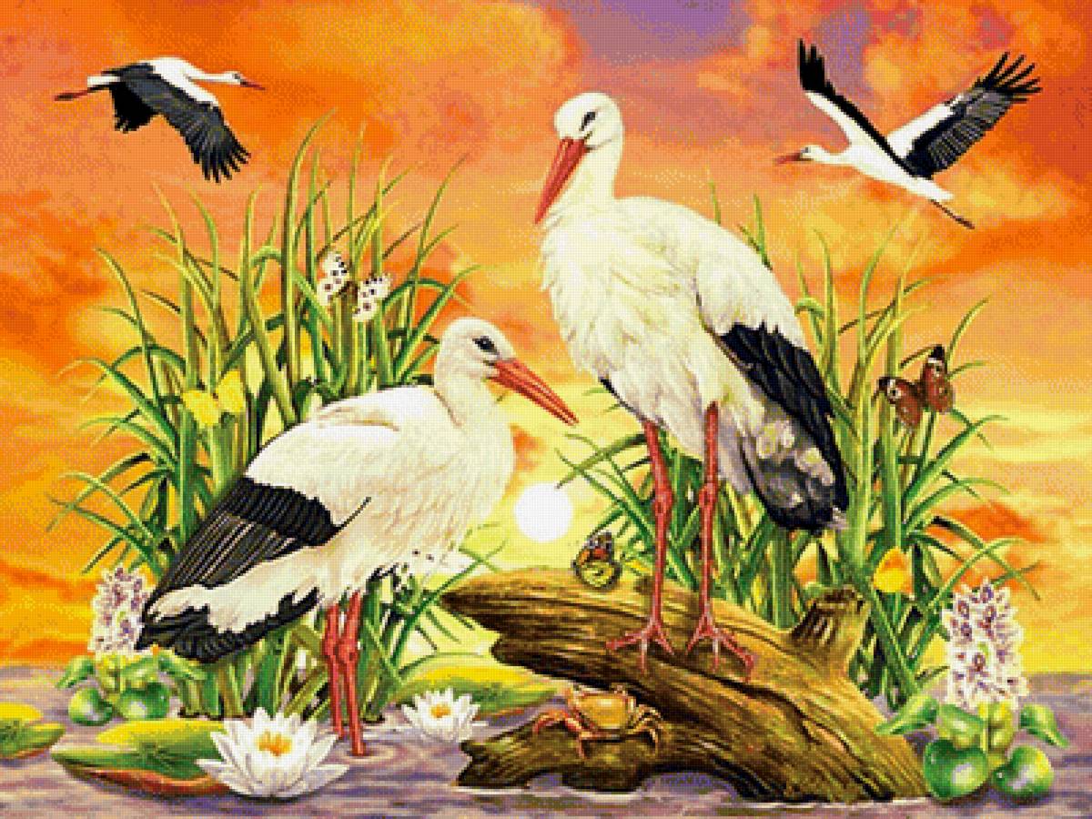 №1703815 - предпросмотр