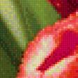 Предпросмотр схемы вышивки «тюльпаны» (№1704411)