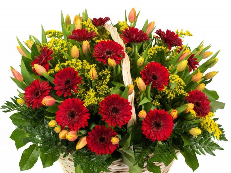 Цветы - красные, цветы - оригинал