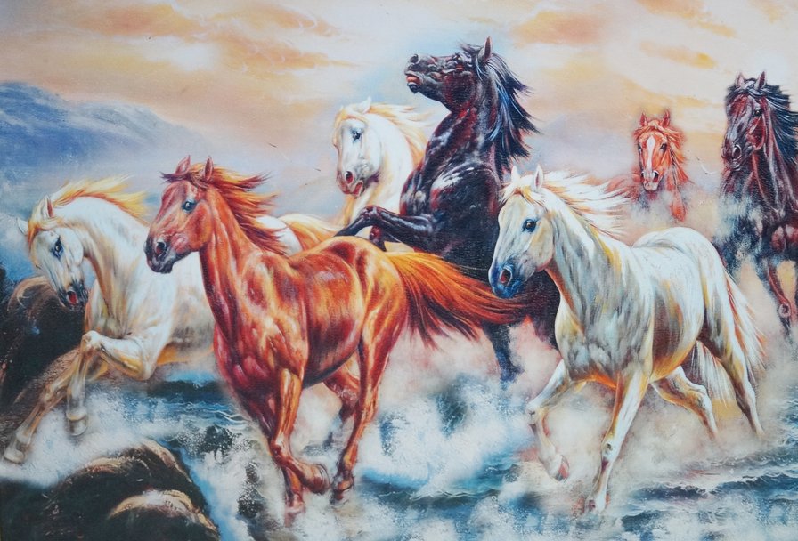 Кони - кони, закат, бегущие - оригинал