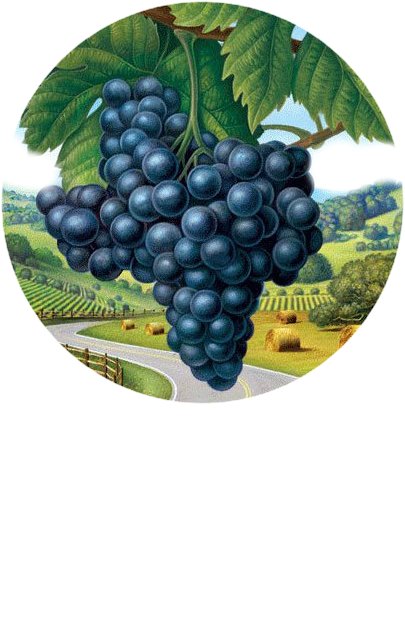 Виноград - оригинал