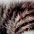 Предпросмотр схемы вышивки «испугался» (№1704654)