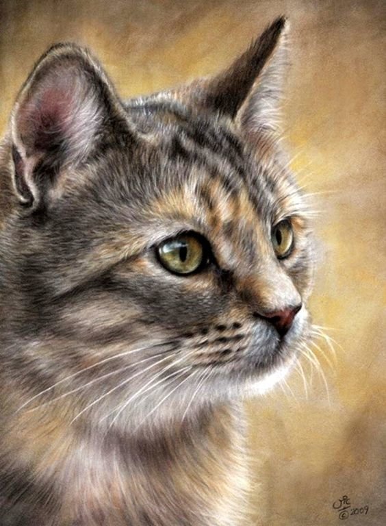 Котик - рисунок, кошка, портрет, кот, арт - оригинал