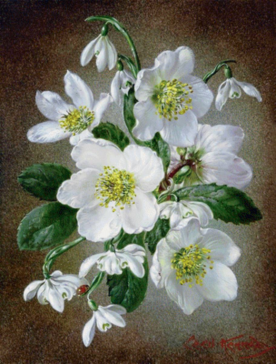 №1705219 - предпросмотр