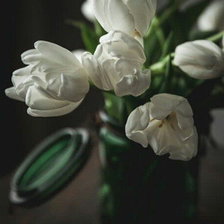 Оригинал схемы вышивки «Белые тюльпаны» (№1705472)