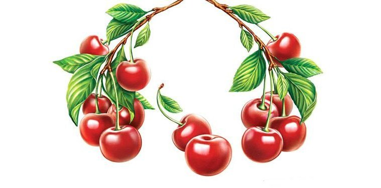 Вишни - ягоды - оригинал