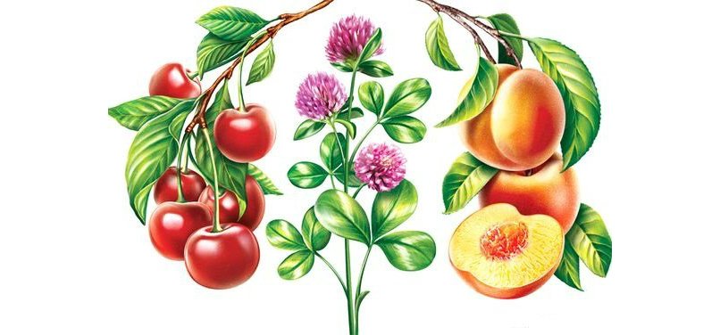 Для кухни - оригинал